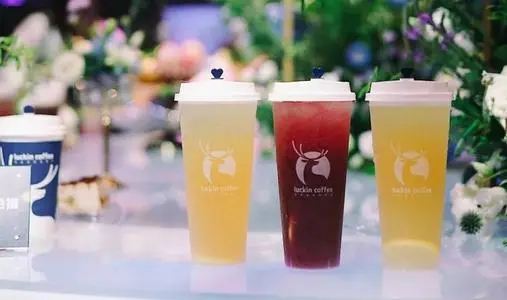 小鹿茶加盟流程 小鹿茶加盟流程