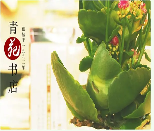 青苑书店加盟流程 青苑书店加盟流程