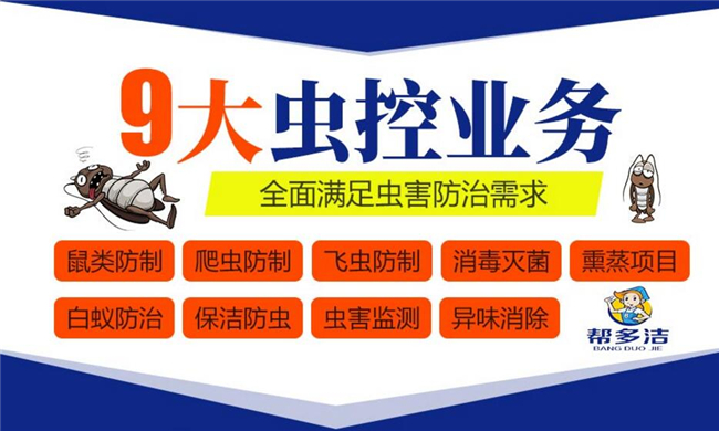 帮多洁除虫灭鼠服务加盟.webp 帮多洁除虫灭鼠服务加盟.webp