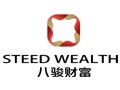 八骏财富加盟