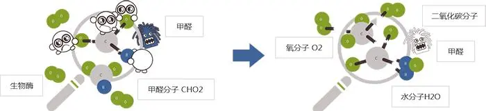 树派环保加盟条件 树派环保加盟条件