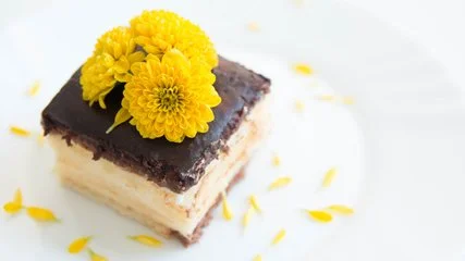 双食记甜品加盟条件 双食记甜品加盟条件