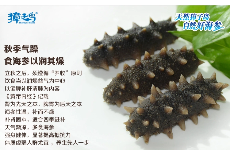 獐子岛海参加盟流程 獐子岛海参加盟流程