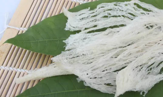 三口山燕窝加盟条件 三口山燕窝加盟条件