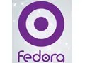 Fedora飞多儿童车加盟