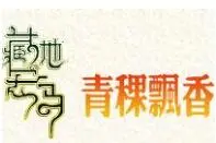 青稞飘香生活馆加盟