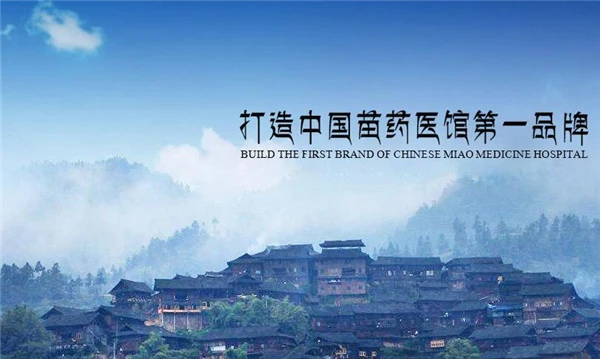 莫三爷苗药医馆医药加盟支持 莫三爷苗药医馆医药加盟支持
