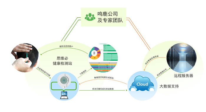 鸣鹿精准健康工作站加盟条件 鸣鹿精准健康工作站加盟条件