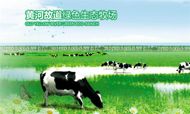 科迪牛奶加盟 科迪牛奶加盟