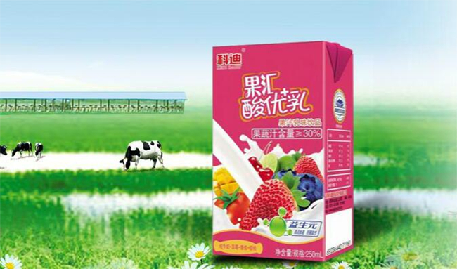 科迪牛奶加盟流程 科迪牛奶加盟流程
