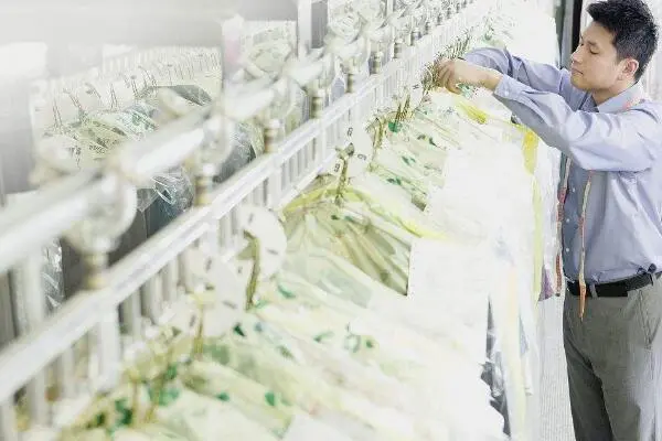 干洗恒协加盟优势 干洗恒协加盟优势