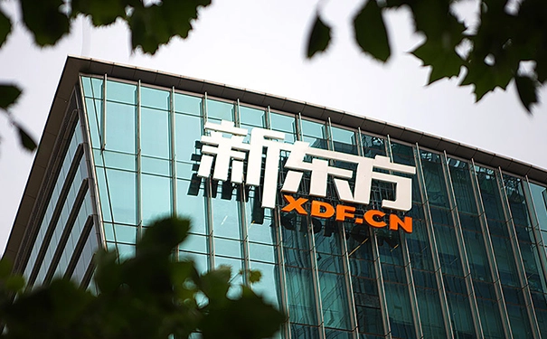 新东方加盟店一年利润有多少呢？