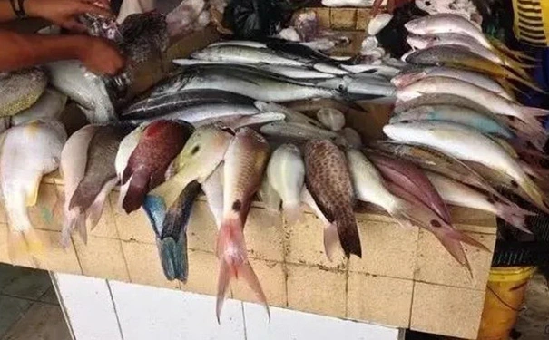 餐厅采购的这些亏,千万不要再吃了! 餐厅采购的这些亏,千万不要再吃了!