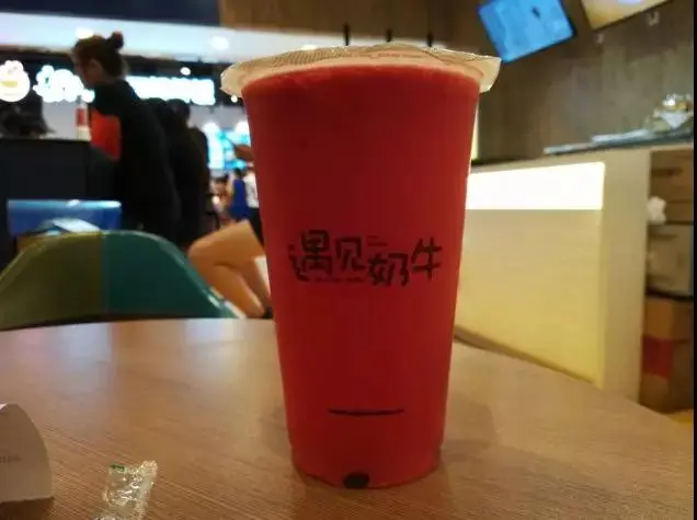一起考察遇见奶牛的回顾总结