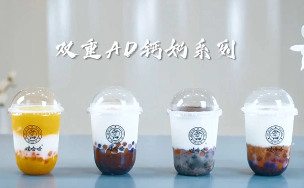 娃哈哈奶茶怎么加盟流程是什么?