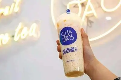 茶百道加盟需要什么学历(茶百道熊猫茶和茶百道是一家吗)