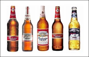 百威啤酒加盟 百威啤酒加盟