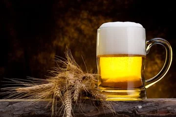 哈尔滨啤酒加盟条件