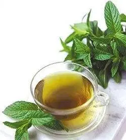三叶减肥茶加盟流程 三叶减肥茶加盟流程