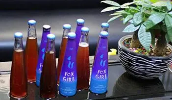 三只狐狸水果啤酒加盟费用