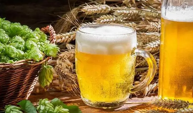 曙光啤酒加盟费用 曙光啤酒加盟费用