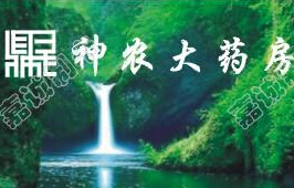 神农大药房加盟