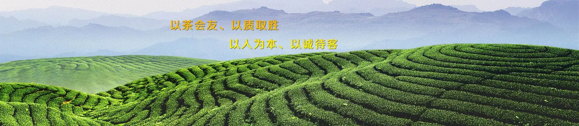 芬吉茶业加盟 芬吉茶业加盟