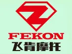 飞肯电动车加盟