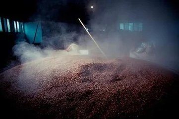 金口玉言酒加盟条件