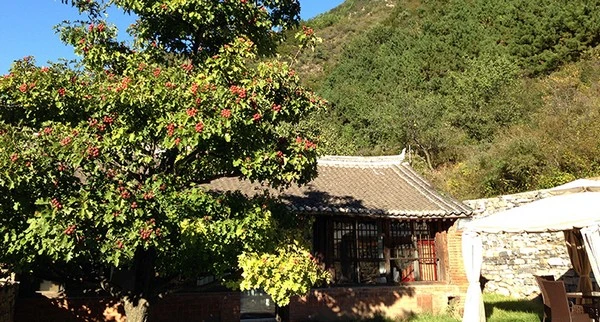 山里寒舍民宿加盟 山里寒舍民宿加盟