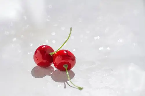 时时果蔬加盟条件 时时果蔬加盟条件