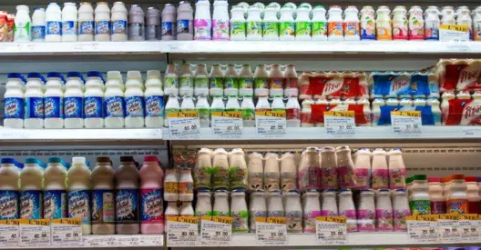 福寿之家加盟条件 福寿之家加盟条件