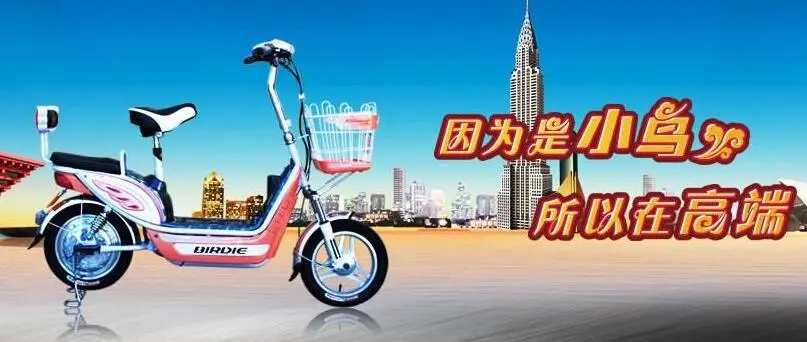 小鸟电动车加盟支持 小鸟电动车加盟支持