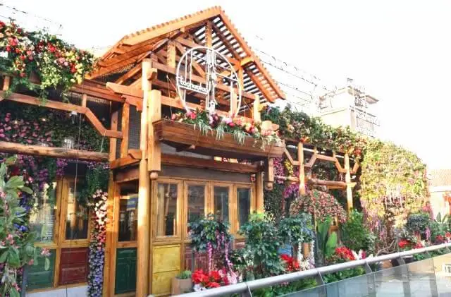 桃花洛音乐餐厅加盟条件 桃花洛音乐餐厅加盟条件