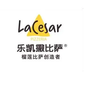 乐凯撒加盟
