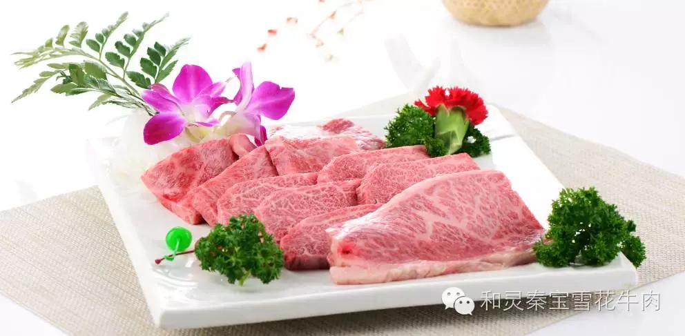 秦宝雪花牛肉加盟