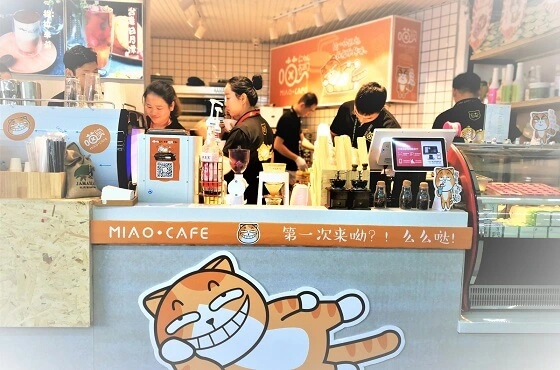 喵右卫门喵咖加盟优势