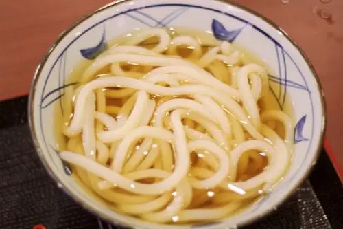 勇乌冬加盟 勇乌冬加盟