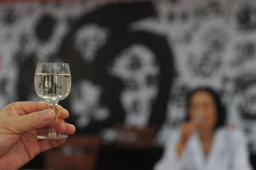 小酒窝酒类直供加盟 小酒窝酒类直供加盟