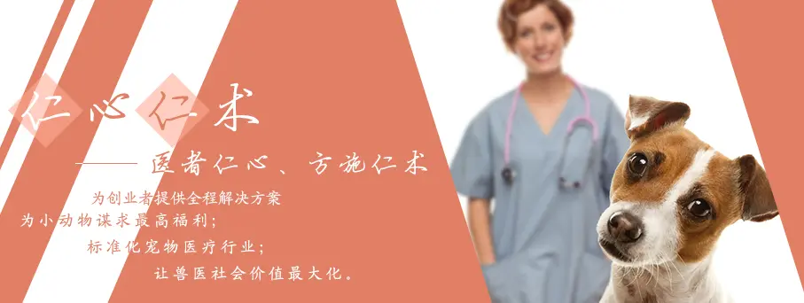 仁仁宠物医院加盟 仁仁宠物医院加盟