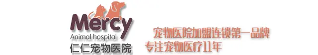 仁仁宠物医院加盟条件 仁仁宠物医院加盟条件