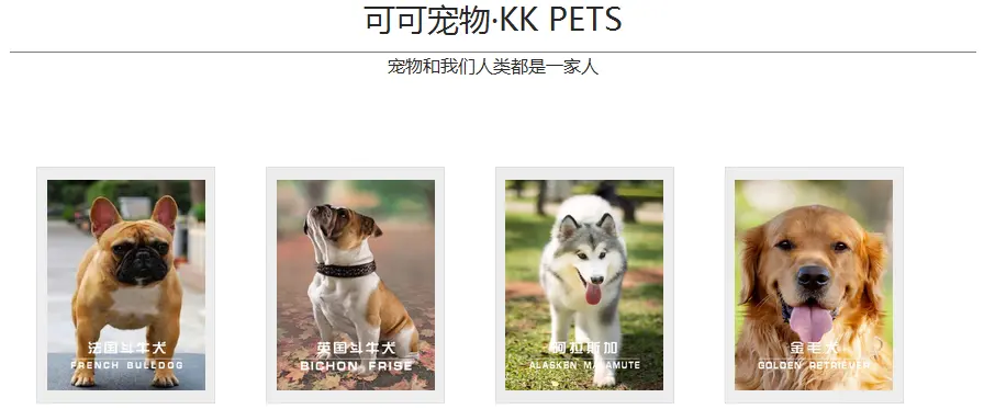 可可宠物加盟 可可宠物加盟