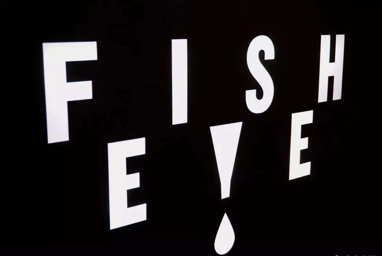 FISHEYE鱼眼咖啡加盟
