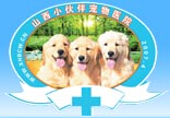 小伙伴宠物医院加盟