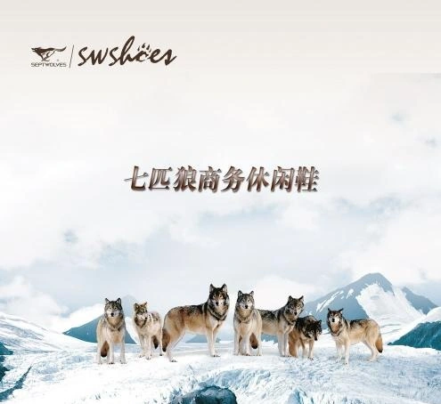 七匹狼加盟 七匹狼加盟