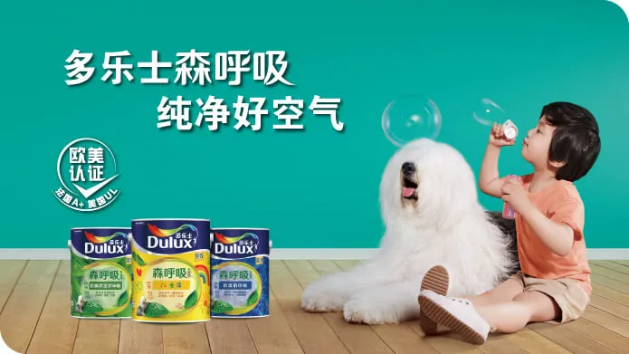 多乐士加盟条件