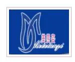 美羡姿纤体馆加盟