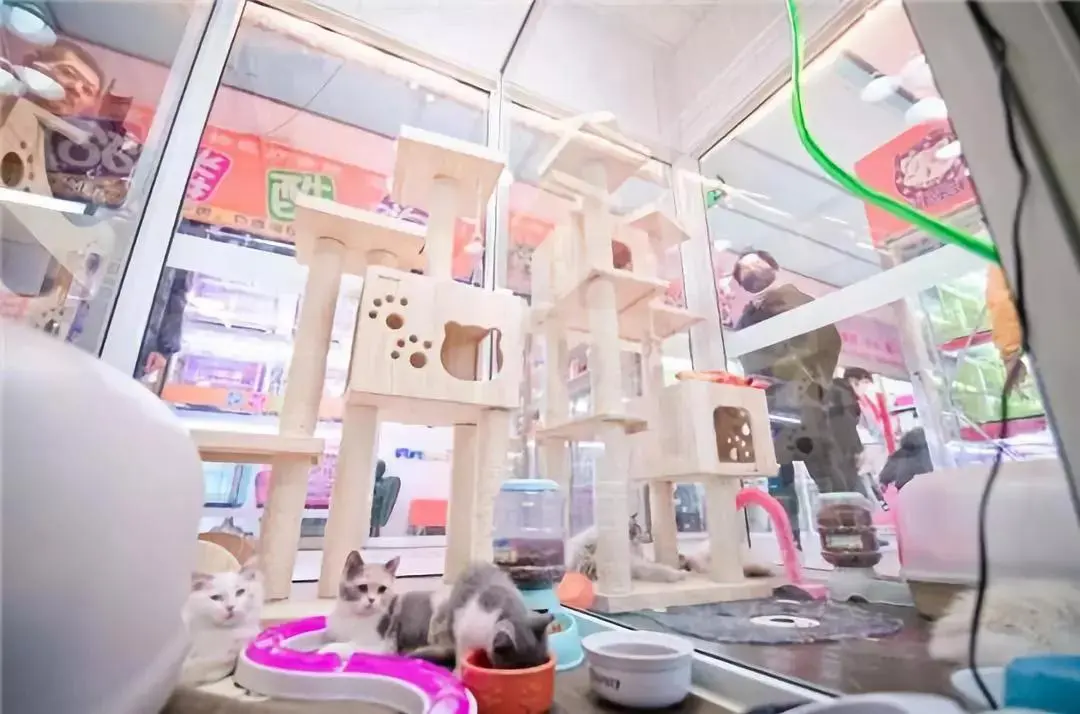 哈妮宠物加盟条件