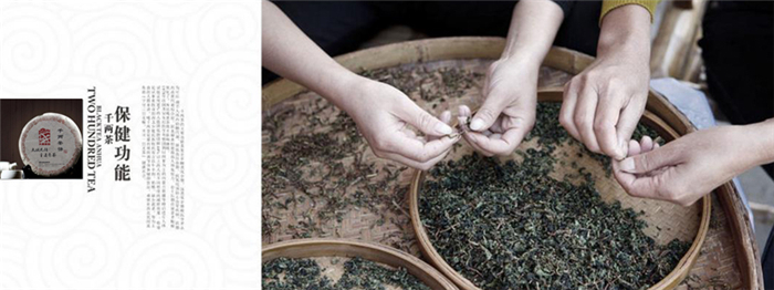 大域黑茶加盟 大域黑茶加盟
