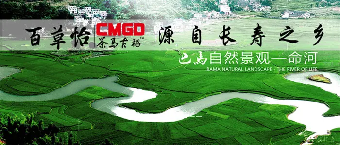 茶马古稻加盟流程